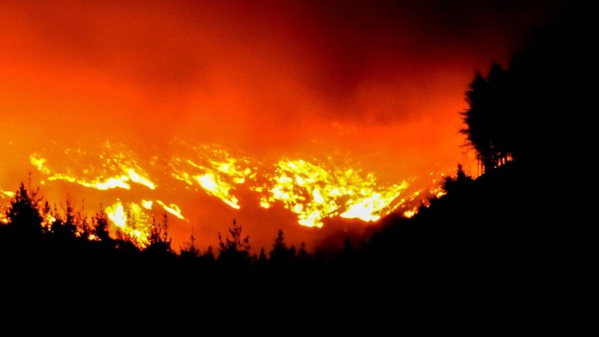 Huge effort helps recover 10,000 tonnes of timber from post-fire Pigeon Valley dlvr.it/R6YT68