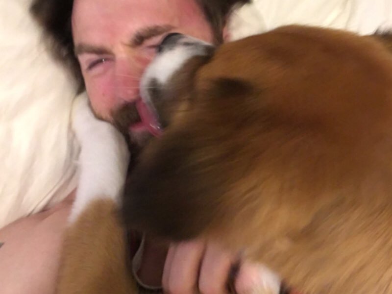 capsheroes's tweet photo. because it’s chris evans’ 38th birthday, here’s 38 of the best chris and dodger moments #HappyBirthdayChrisEvans https://t.co/eFt9A98mwE