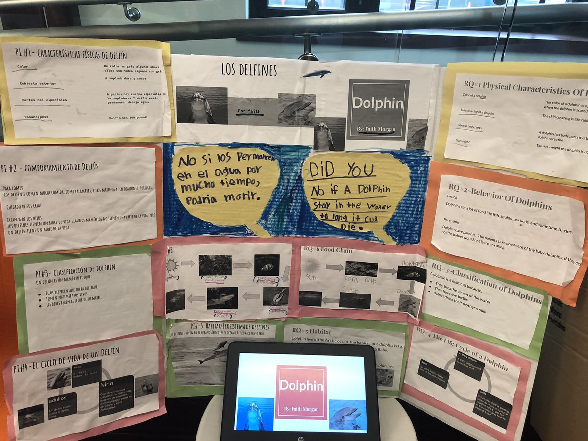 I had the pleasure today to see some amazing projects the grade 3 at Nathaniel Greene completed . These Ss spoke so eloquently on their animals and how we as humans can protect them!!  #PawtucketInspires @GeauxMattReher @CarneyLiteracy