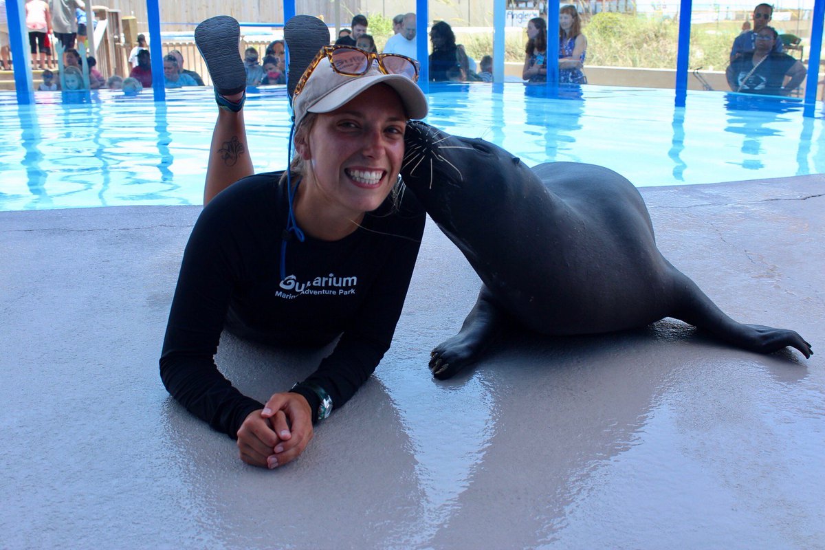 If you're interested in a career in marine science, check out the Gulfarium internship. Several of our students have turned their internships into full-time jobs training marine mammals. Complete the application before June 15 for the fall internship: ow.ly/7Iit50uDpQ7