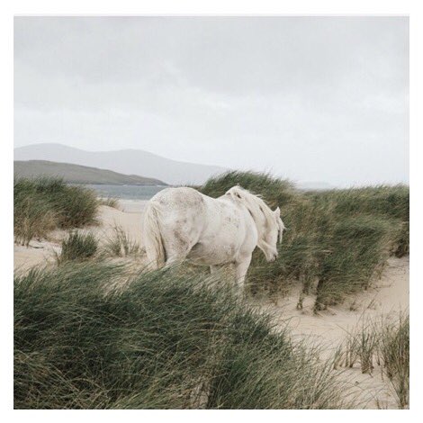 ✨BRITISH LANDSCAPES EXHIBITION✨ delighted to partner with <a href="/_AnotherCountry/">primrose</a> for an exclusive exhibition of British Landscape photography. Featuring Caroline Fraser, Jonty Sale, Oliver Perrott &amp; Richard Gaston as well. PV Thu 20th June  18:00-20:00. 18 Crawford St, W1H 1BT