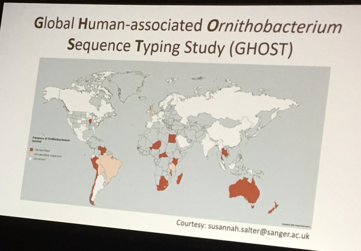 #ISOM2019. Are you finding unusual ornithobacterium in your 16S data? Contact Robyn Marsh @MenziesResearch and @Zannah_Du to get involved in the global GHOST Study
