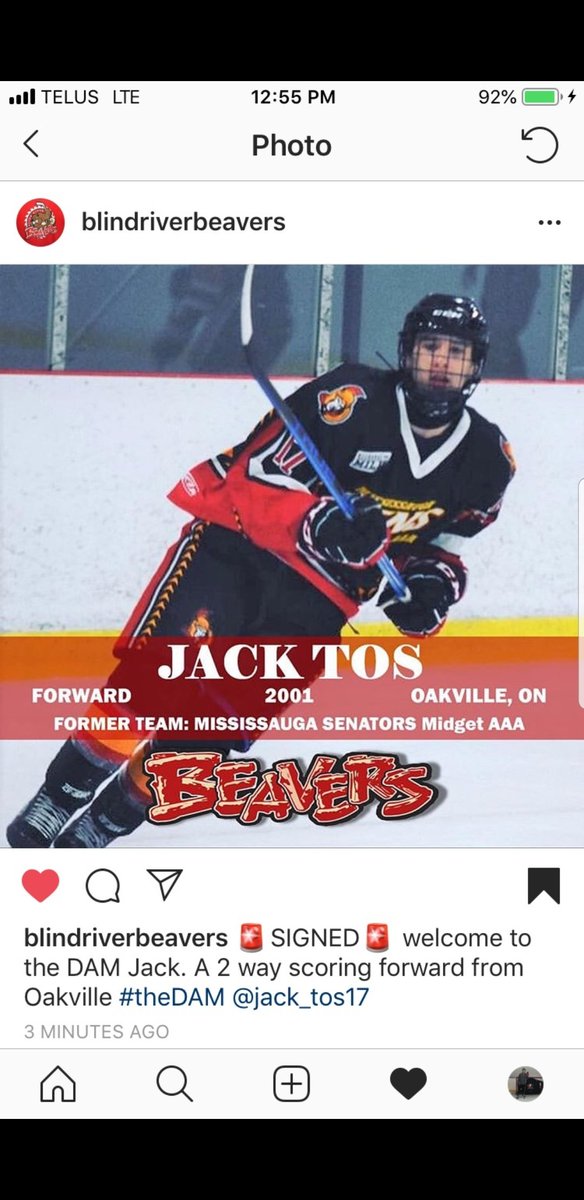 MidgetSenators's tweet image. 