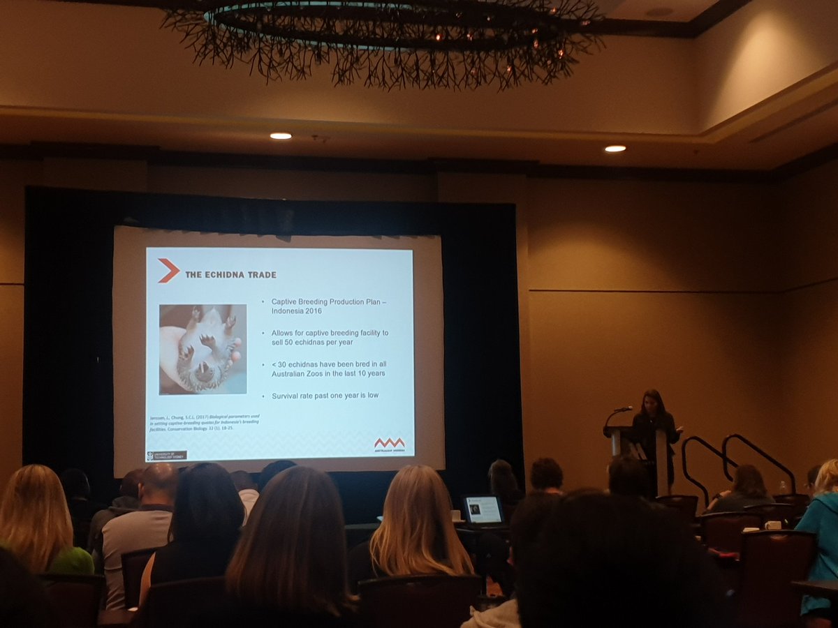 GretaFrankham's tweet photo. Great talk from @AustmusResearch PhD student @AlexSummerell presenting her research into Echidna pedigree testing for individuals found in the illegal wildlife trade #SWFS2019 #wildlifeforensics https://t.co/xDLH4bAHZM