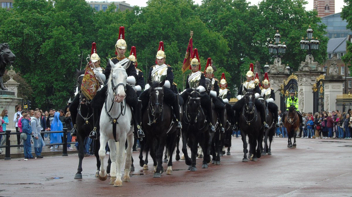 bisset_philip's tweet photo. #horseGuards #Longguard #London https://t.co/t4WklcpgBD