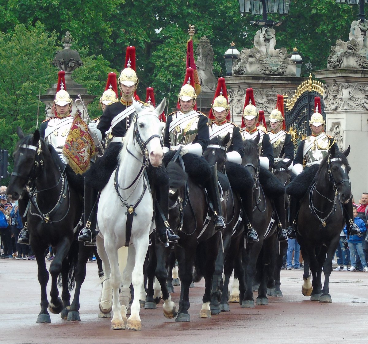 bisset_philip's tweet photo. #horseGuards #Longguard #London https://t.co/t4WklcpgBD