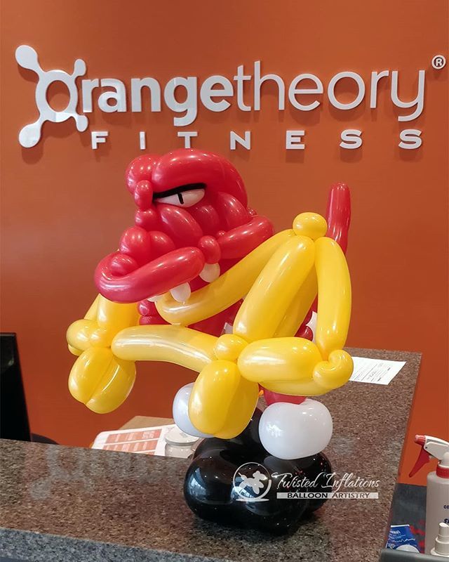 TIBalloons's tweet photo. Cheering for #TorontoRaptors! #WeThe North #GoRaptorsGo #BalloonArt
@orangetheoryfitness_elginmills
@raptors
#TwistedInflations is proudly serving #RichmondHill, #Markham, #Vaughan and #Toronto with the #BestBalloonArt in the #GreaterTorontoArea.
#Tor… https://t.co/7Kfz33nLLP https://t.co/Bd7wUeB6Q0