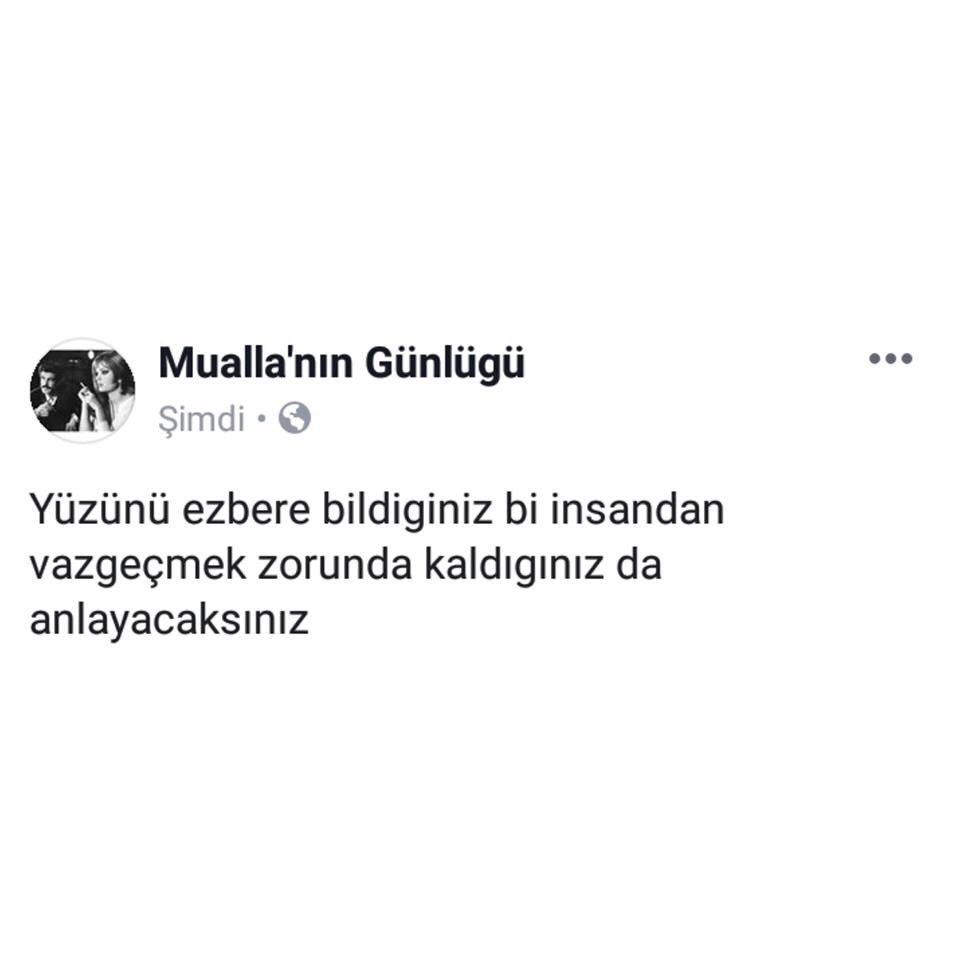 AsyaGültekinoğlu (@gultekinogl) on Twitter photo 