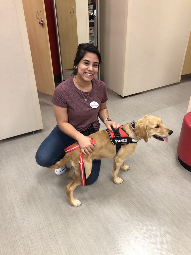 Shellcole88's tweet image. A guest brought their service dog shopping with them, and we were more than happy to “dog-sit” Bandit while his owner was trying on clothes! 🐶❤️🎯 #0906 #lovewhereyouwork
