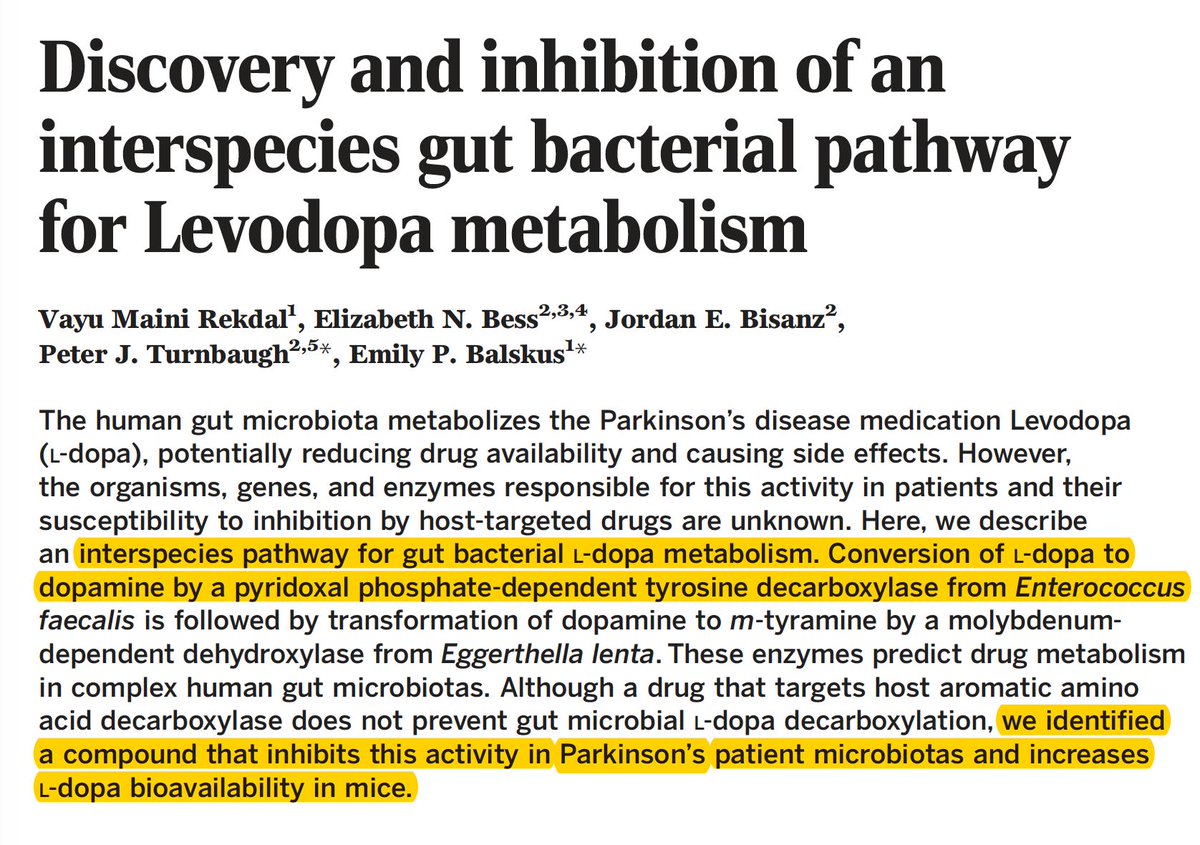 EricTopol's tweet photo. It's human gut #microbiome discovery week: now a bacterium that metabolizes and inhibits the main drug (L-dopa) for #Parkinson's disease
@sciencemagazine https://t.co/LEO4Wv64B5
https://t.co/cKpNn3Z1rD and a compound that may block that enzyme https://t.co/0AbJm42xlH