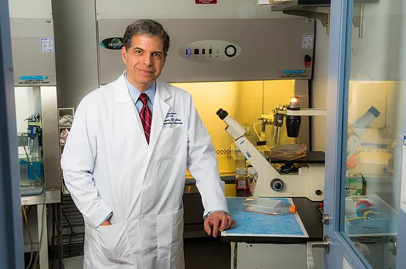 nyphospital's tweet photo. Join us in congratulating #NYP/@ColumbiaMed’s Dr. Gary Schwartz, this year’s recipient of the 2019 Eugene D. O'Kelly Award from @AmericanCancer, which recognizes his leadership in the fields of translational research &amp; drug development: https://t.co/xFCz6nMqn6 #financevscancer https://t.co/9kNrmyuB5S
