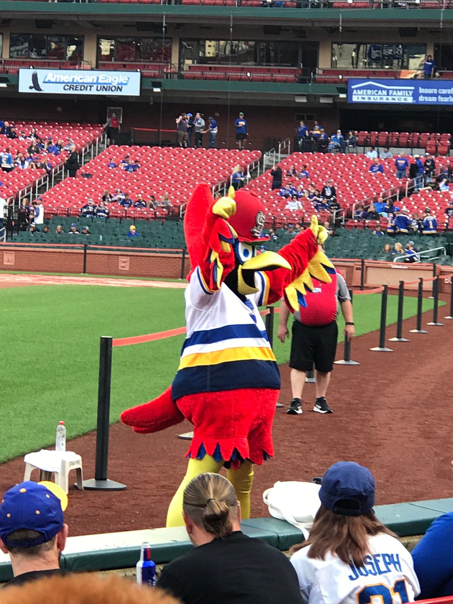 CABakinBBQ's tweet photo. @Cardinals https://t.co/9rB0aDETWO