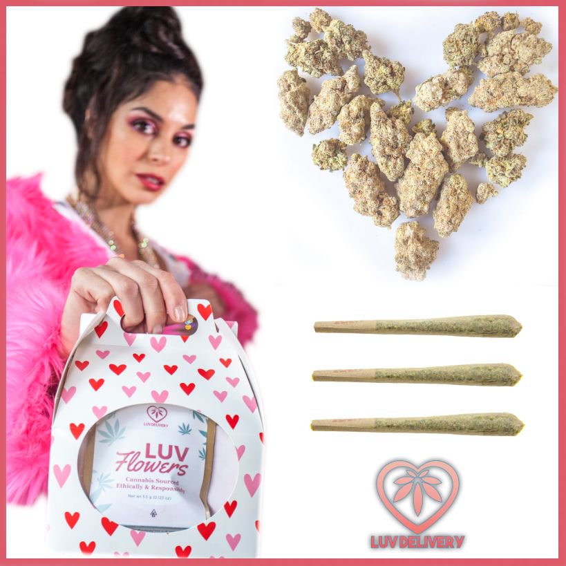 LUVDeliveries's tweet photo. GRAND OPENING SPECIAL!  Get two eighths of ANY Luv Brand flower and three Luv Brand prerolls .... Check the website to see this amazing special!  https://t.co/lpRgUEDSd3!  Please repost this to all your friends!
*
*
*
#deliverluv #weeddelivery #cannabisdelivery #bayareasmokers https://t.co/QTOl4MPoBr