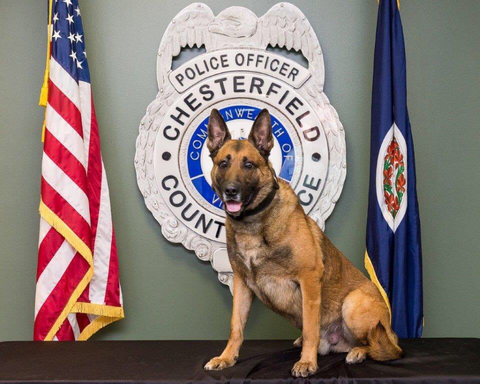 Chesterfield Police tweet media