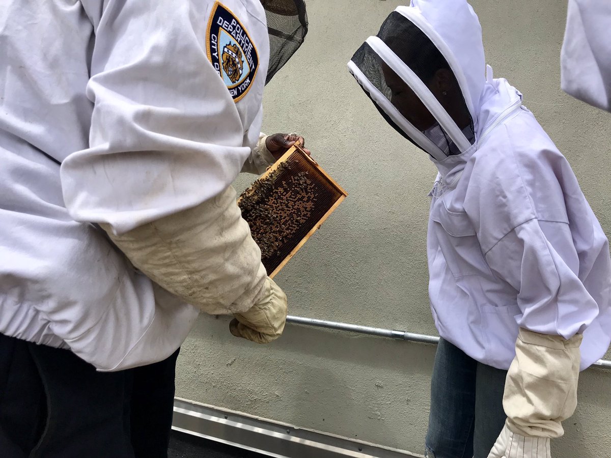 kemrichardson7's tweet photo. A #Fascinating day on the job! Thank you #104precinct #nypd in #queens for showing us the magic of #bees. Brett Cohen and I brave the #buzz today at 5 on @abc7ny #abc7ny #nyc @NYPDnews @NYPD104Pct https://t.co/Lyrut0R9Ez
