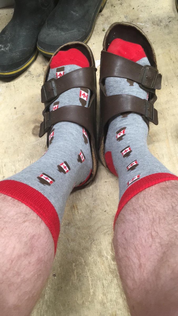 Peter Collins tweet media