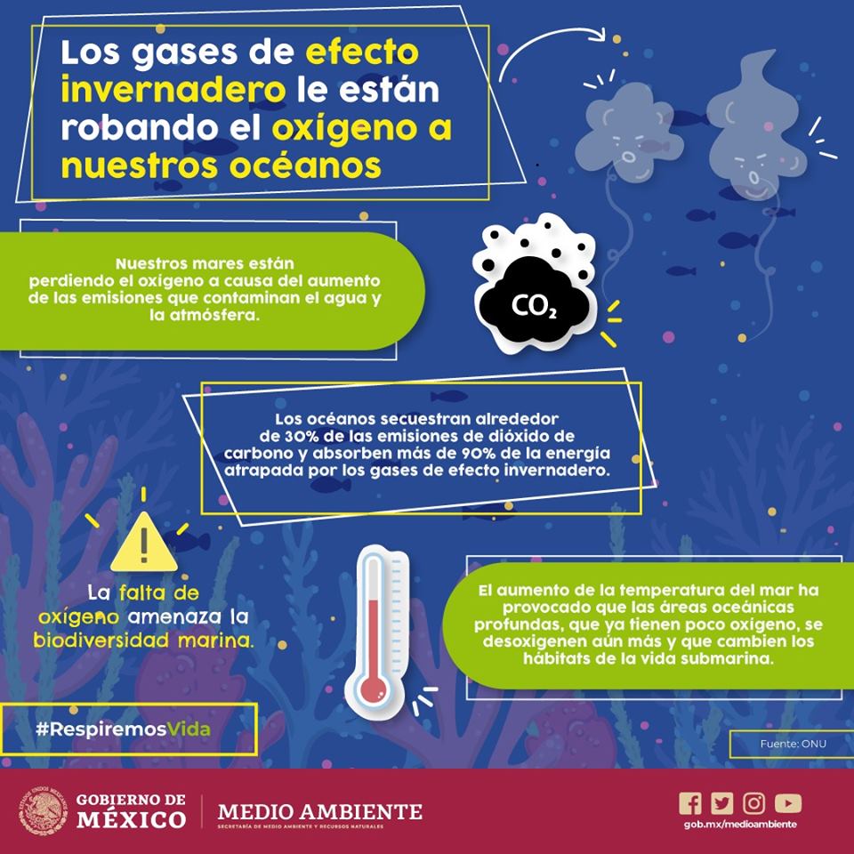 Nuestros mares están perdiendo oxígeno a causa del aumento de las emisiones que contaminan el agua y la atmósfera. 😷💨🐳🐠🦑🦐🌊