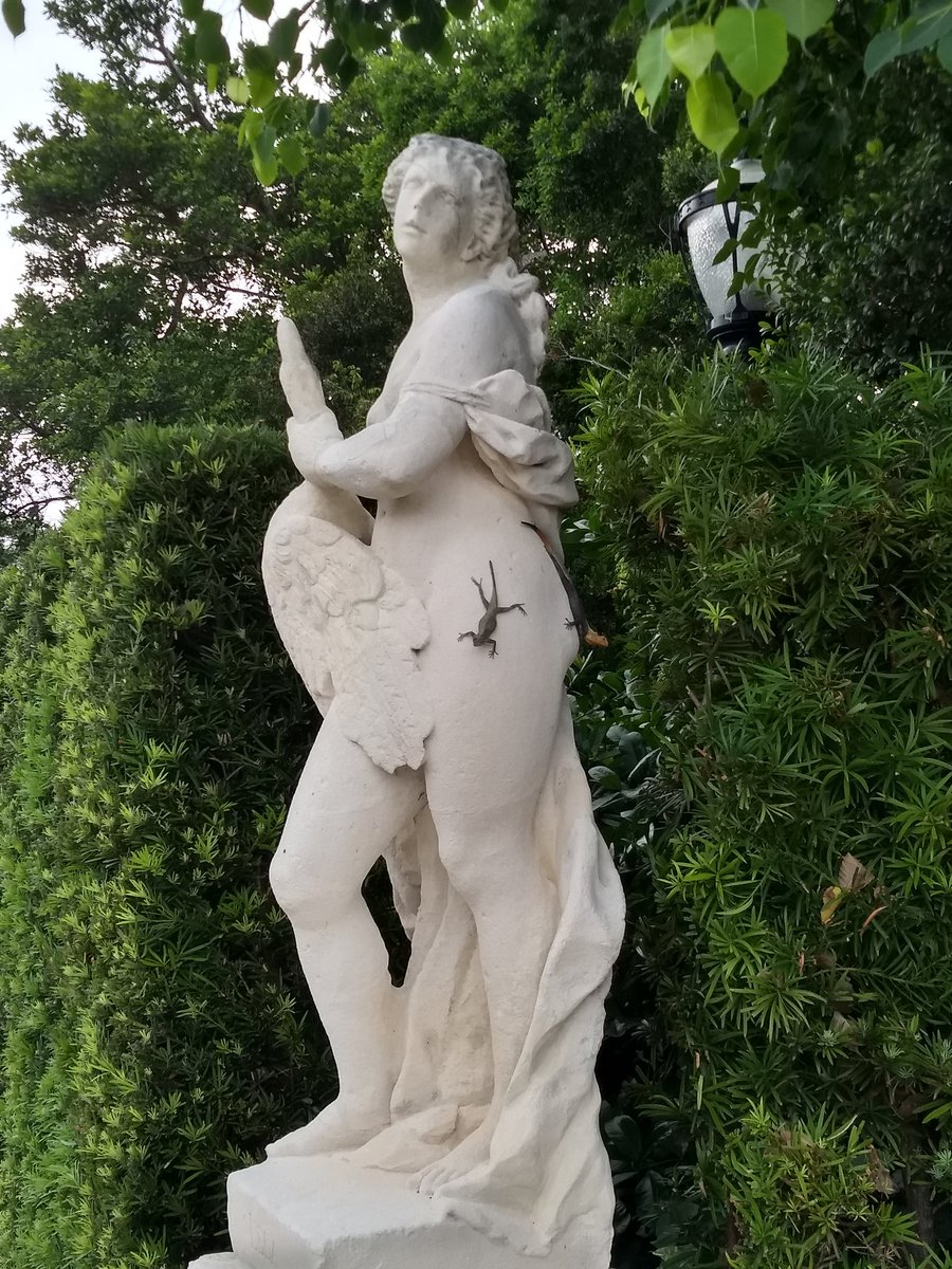meganjelene's tweet photo. Lizards on my ass is a mood. #moodoftheday #humidashell This air is sticking to me like #lizardsonmyass https://t.co/5iPiAYzE6F