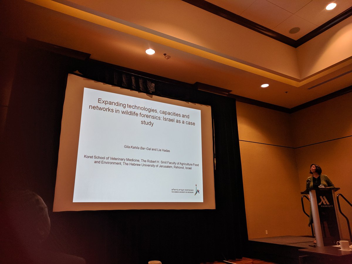 Sherryn_C's tweet photo. Three really interesting #SWFS2019 flash talks from #Israel, #USA and #south Africa, from increased forensic capacity for #LawEnforcement to #dna databases for #reptiles to #vultureculture: role of social media in #iwt @SWFS3 https://t.co/TD8jWve15G