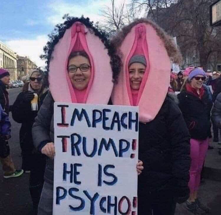 Pastor Greg Locke on Twitter: &quot;You wear giant vagina hats in public and  scream #ImpeachTrumpNow yet Trump is a psycho? That&#39;s rich girls.  #ThursdayThoughts… https://t.co/rGQ24zqTNi&quot;