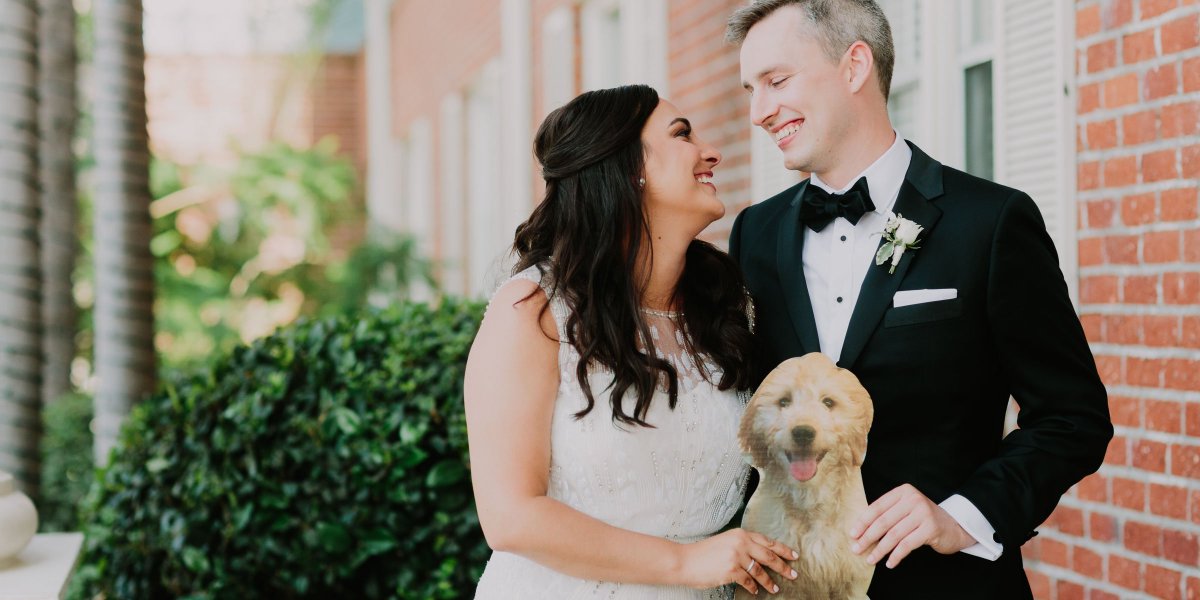 Lets Frolic Together tweet media