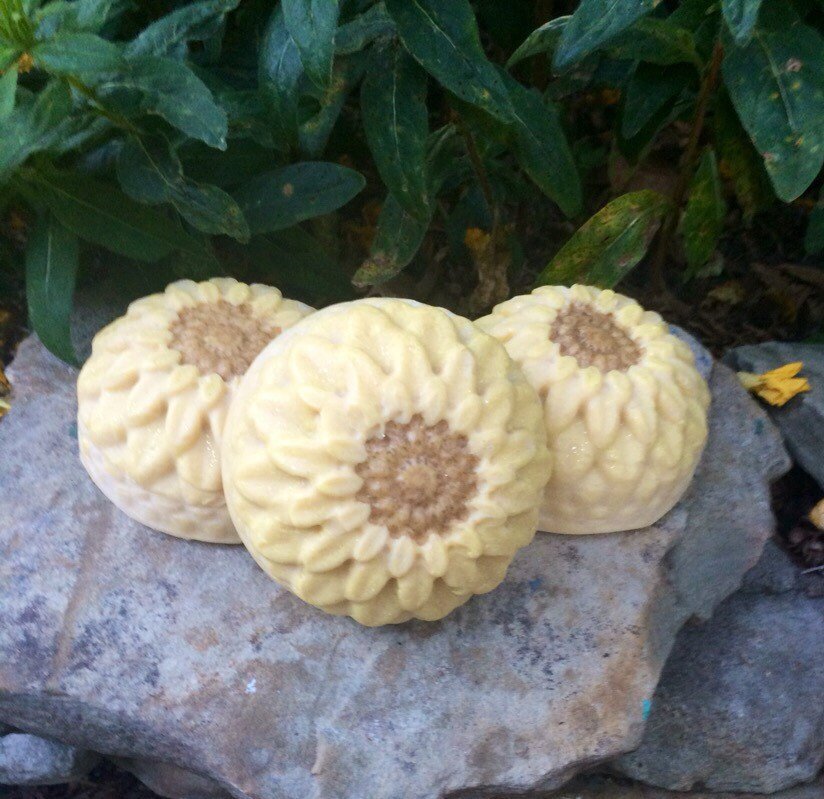 GoodKittyNats's tweet photo. Sunflower Aloe Vera Soap weighing between 3.9oz - 4.6oz per bar https://t.co/PKZ4PIN5mt #Handmade #Naturalskincare #GoodKittyNaturals #Bathfizzy #GKN #Bathbomb #Etsy #Skincare #EtsyShop #HandcraftedSoap #SunflowerHandSoap https://t.co/sFophuTlA1