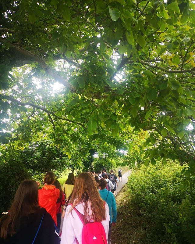 PlanetaPalom's tweet photo. Conoce #Asturias como nunca antes lo has hecho con nosotros! 🌿🌿 Gran #trekking junto con los chicos del Colegio Carmen Conde de #lasrozas de #Madrid.

Llámanos al 684612765 y no te quedes sin tu plaza! 🤙🤙 #PlanetaPalombina #campamentodeverano #fun Co… https://t.co/hDUjKLmllh https://t.co/J955qgW12m