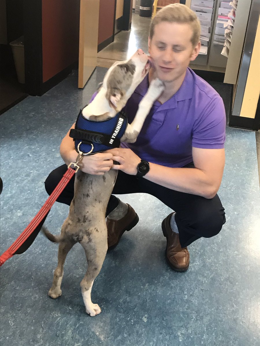 OrsTherapy's tweet photo. ORS’s own Paul Bliton, PT, DPT getting some smooches from sweet Service Dog in Training, Tucker!
At ORS &amp; CHC, we sure do love the Pups!
🐾💚💙🐶 https://t.co/tG5ojjGIxH