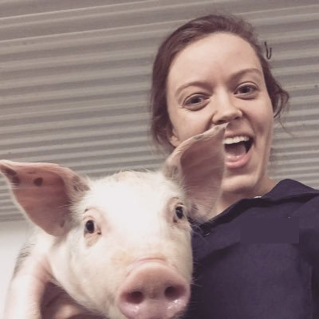 Gillian Greaves is a city girl, born and raised. But that didn’t stop her from joining 4H and pursuing her passion in ag. Gillian is now Reserach &amp; Production Tech <a href="/southwestvets/">South West Vets</a> , Chair of the Swine Show <a href="/RoyalWinterFair/">TheRoyalWinterFair</a> &amp; Promo Chair of <a href="/OntPorkCongress/">Ontario Pork Congress</a>

soundcloud.com/user-725843201…
