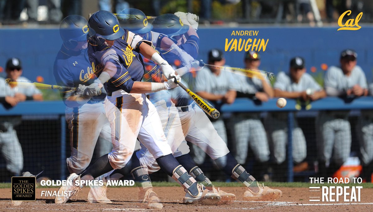 CalBaseball's tweet photo. The Bears' season may be done, but we still need your support!! @andrewvaughn37 is a #GoldenSpikes finalist and trying to become the first repeat winner. Go to https://t.co/QpFtcCIHwc, and you can vote 25 times per day thru June 10. .... #VoteForVaughn https://t.co/BoiRdHqQpe