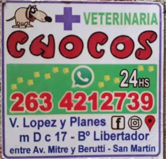 sofiisottile's tweet photo. Quiero contarles lo que le pasó a Lolo.. 
El día jueves  30 de mayo a las 15hs tenía su turno para ser bañado en la VETERINARIA CHOCOS a la cual asistimos puntualmente,lo dejé con la confianza de que me lo devolverían en poco tiempo,limpio y sano.
 Me preocupe al ver que pasaban+ https://t.co/FZeRoKOQMR