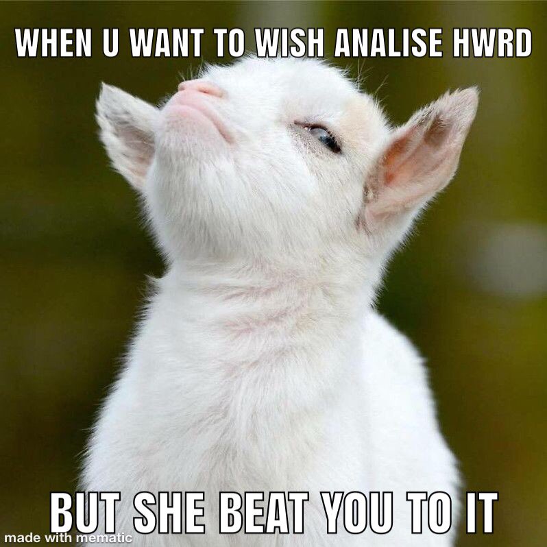 clurtle's tweet photo. I compete w/ @analise_riez to say Happy White Rabbit day first every month. Today I won! But this is still funny because she usually does 😂 ##HWRD https://t.co/OhB9G0H2Qy
