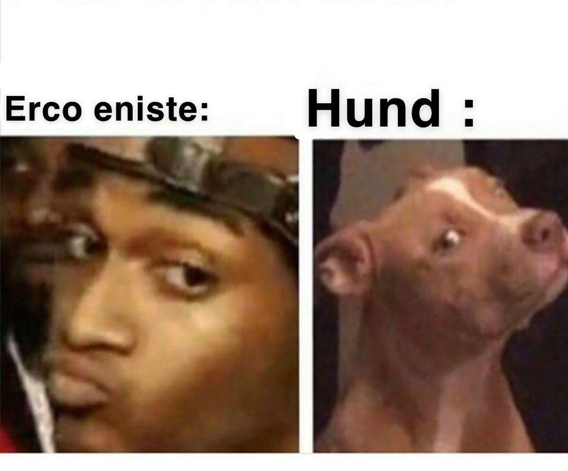 Freund:Ach komm rein Bruder der beißt schon nicht der will nur spielen