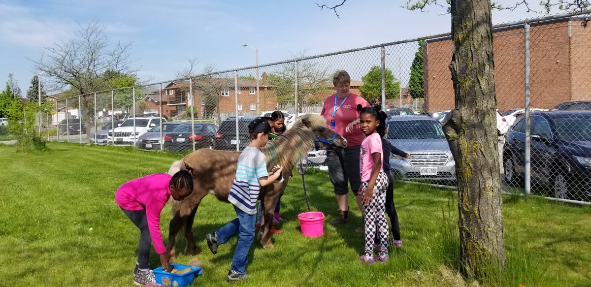 Animal friends and little critters visit JDP. Teaching children kindness, compassion and love through the animal world. #loveanimals #kindness #love #JDP #tdsb
