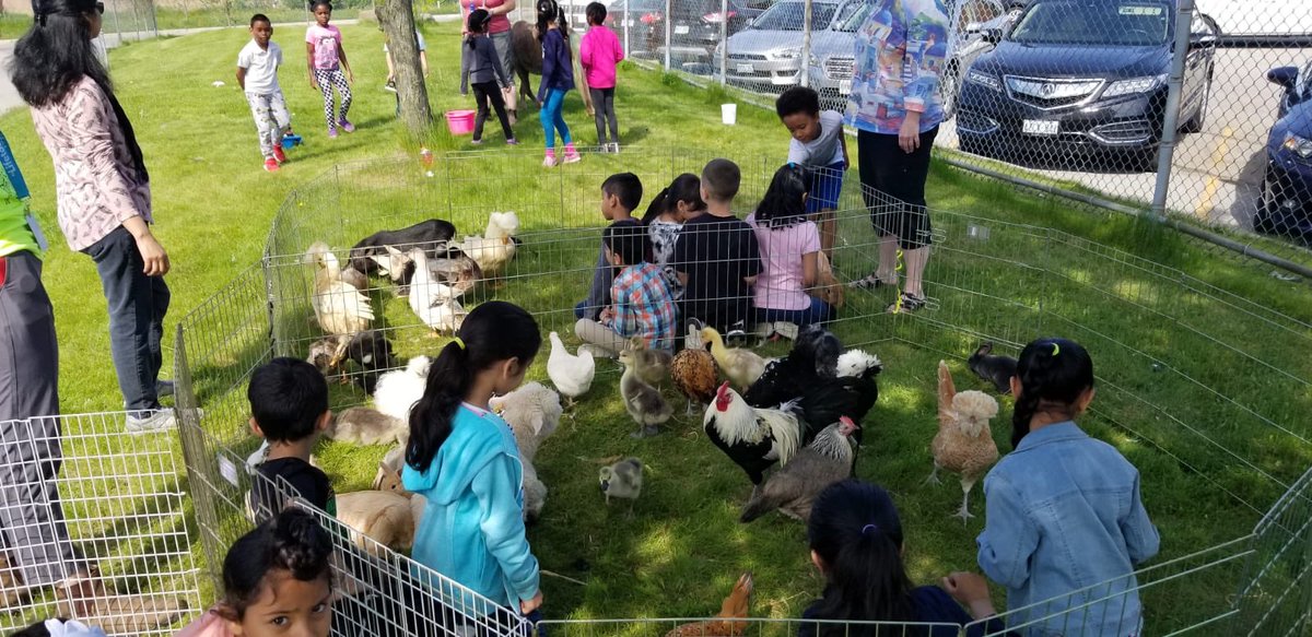 tdsb_JDP's tweet photo. Animal friends and little critters visit JDP. Teaching children kindness, compassion and love through the animal world. #loveanimals #kindness #love #JDP #tdsb https://t.co/oZ88bWEeka