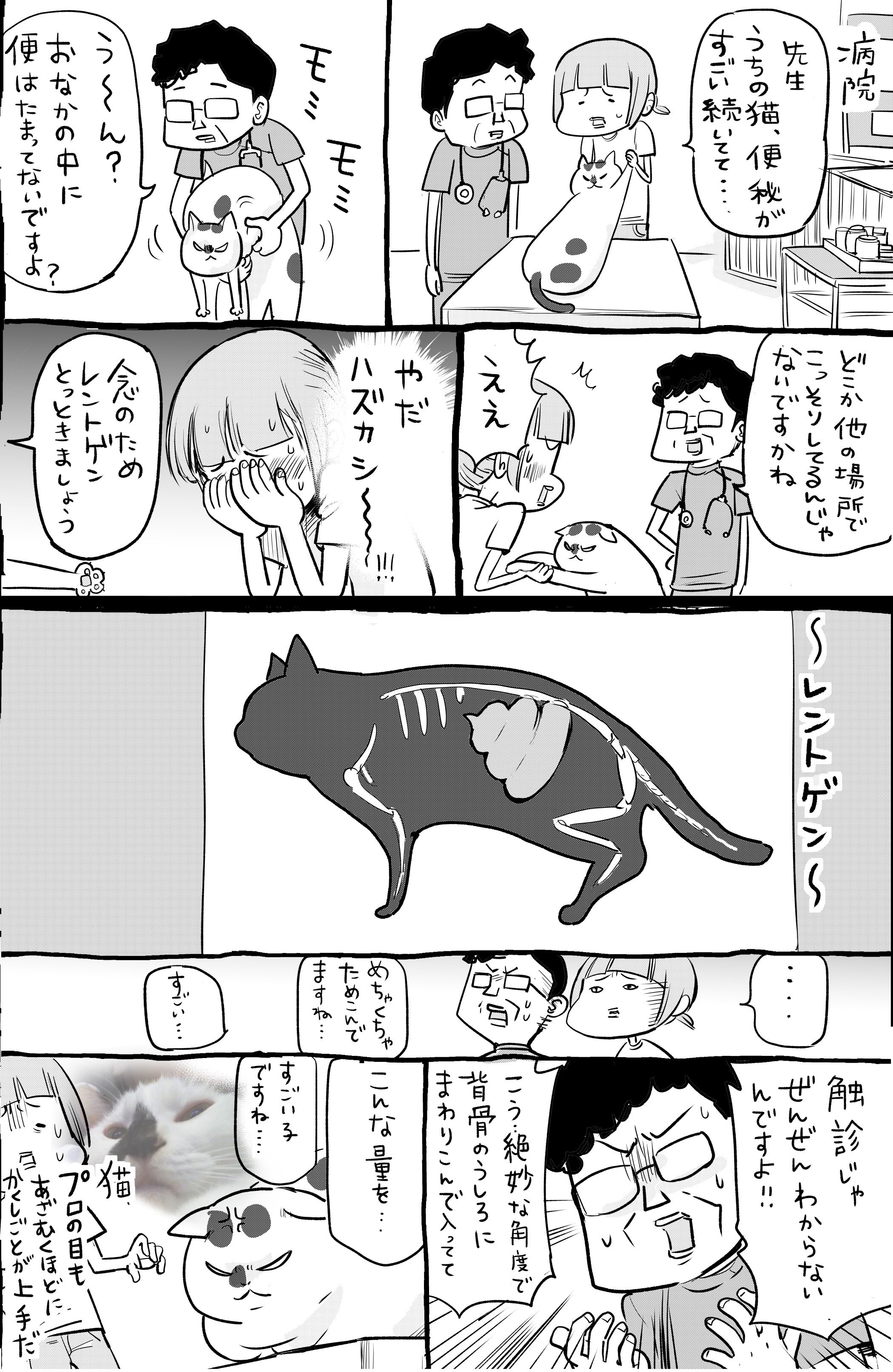 犬と猫の隠し事の上手い下手は落差がありすぎる 話題の画像プラス 犬と猫の隠し事の上手い下手は落差がありすぎる 話題の画像プラス