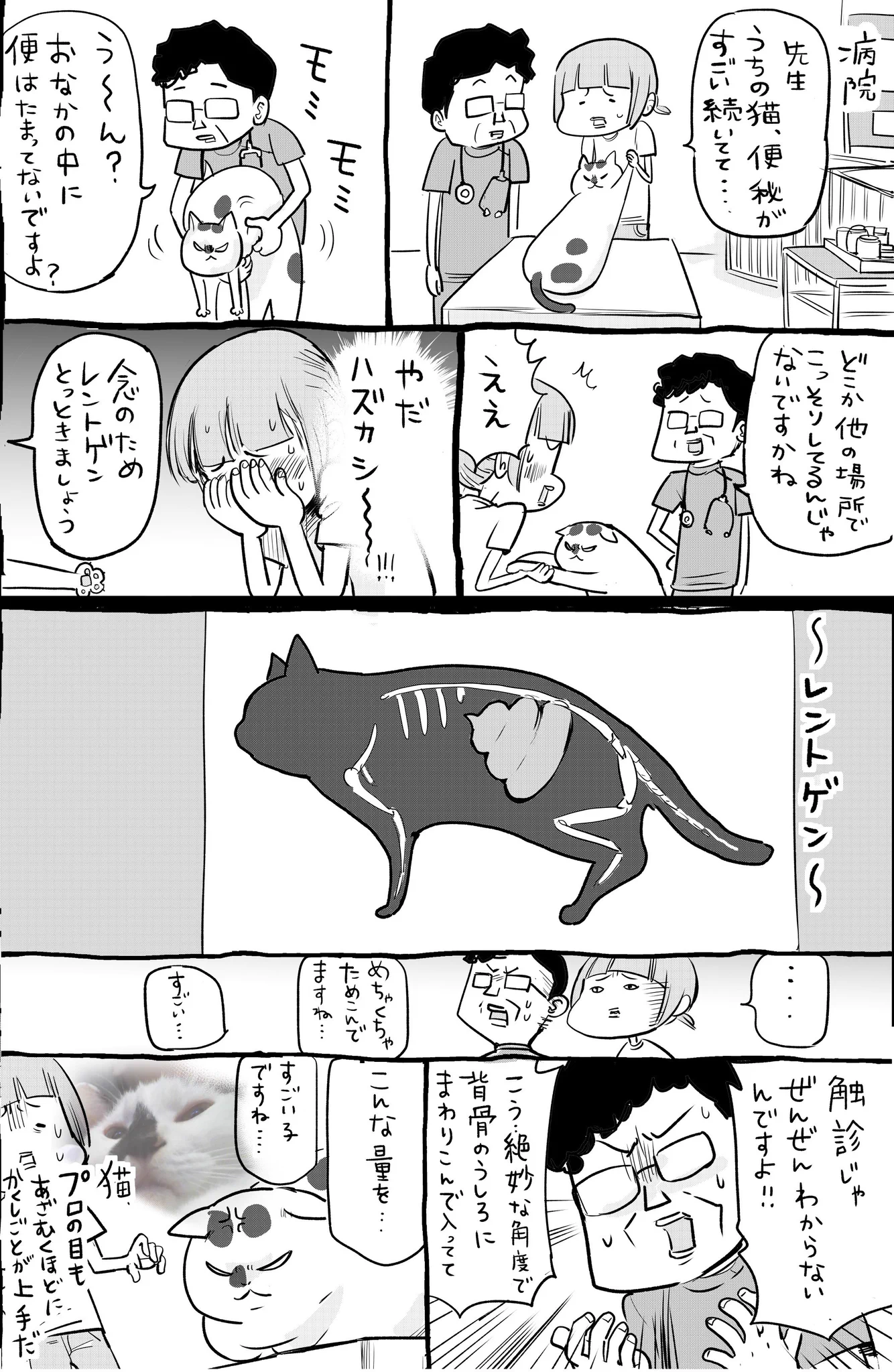 犬と猫の隠し事の上手い下手は落差がありすぎるww