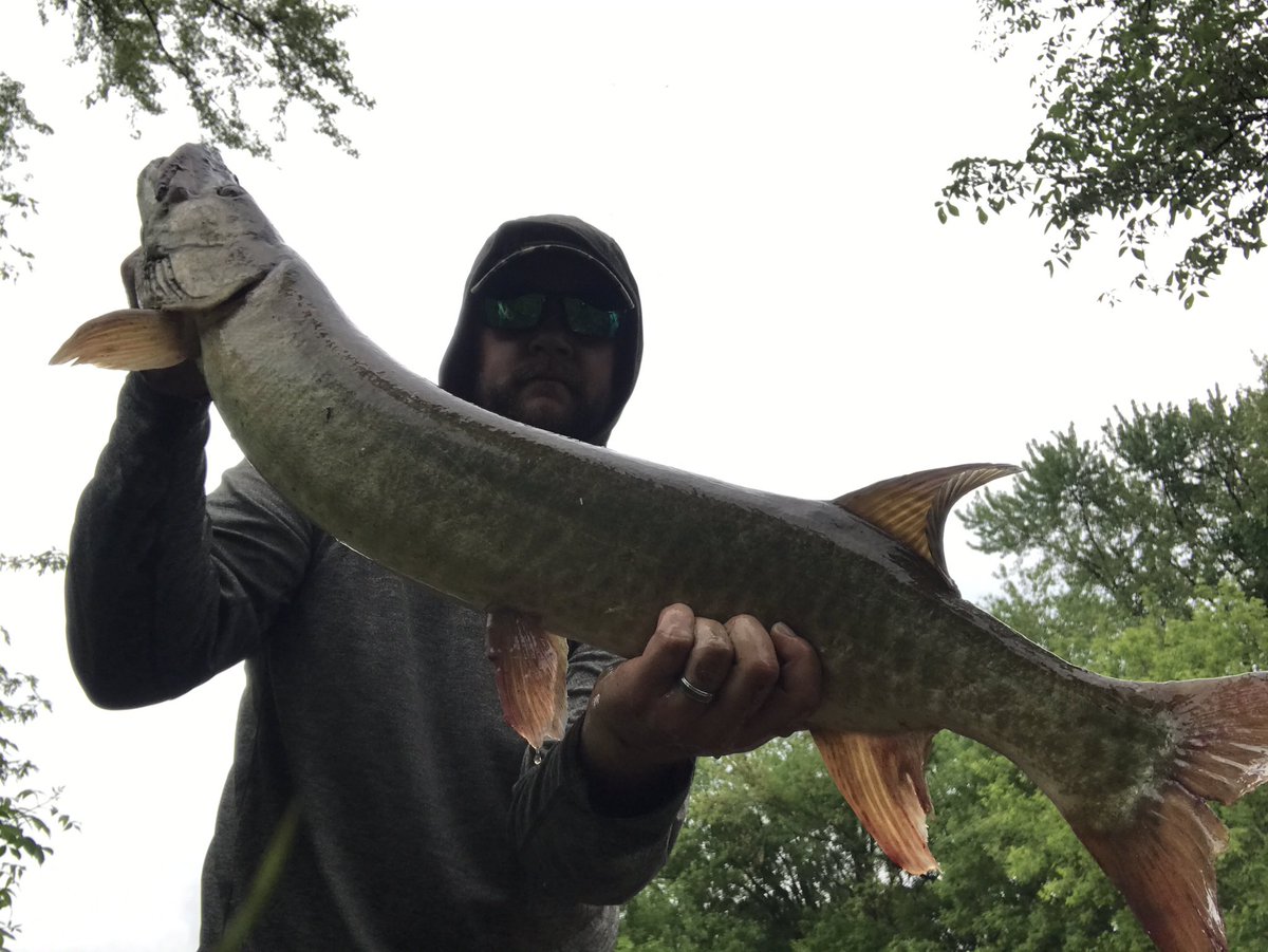 IgnitionFishing's tweet photo. Got one to hit a @TROFishing firetiger single girl today on the home waters. @simmsfishing @OkumaFishing #Musky https://t.co/7MUxoOm28Z
