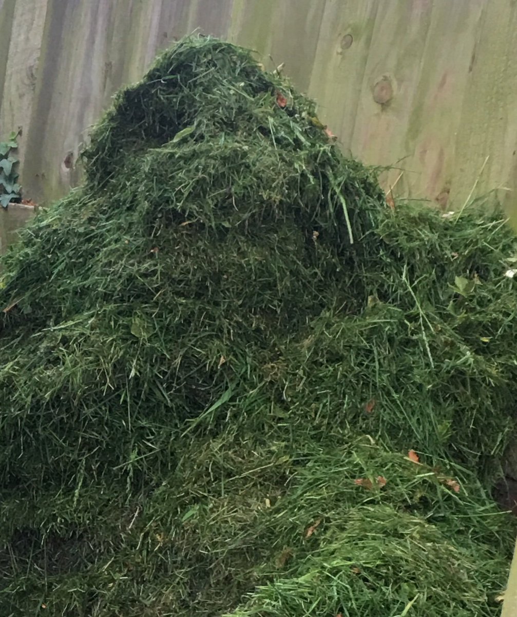 WillBaker2's tweet photo. I’m building a (friendly) compost heap monster https://t.co/4vv6Qv7VUo