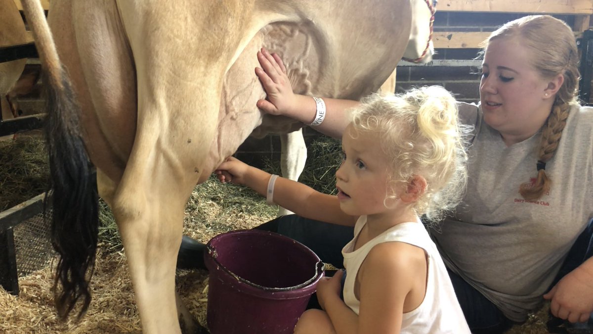 June is Dairy Month! Yum! Here are my kiddos getting some first-hand experience at milking cows. <a href="/CompeerFinance/">Compeer Financial</a> 🐄 #DairyMonth #moo #GiveGallons #CompeerFinancial
