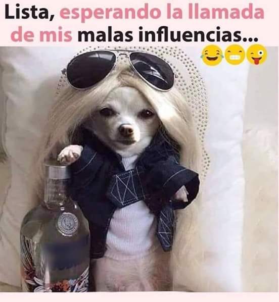 SoyUxia's tweet photo. Donde están ? https://t.co/O92arx4wnl