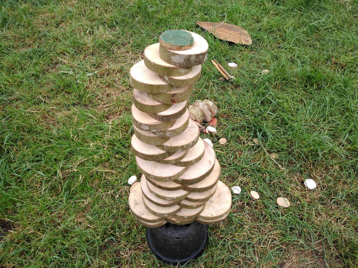 Land Art For Kids tweet media