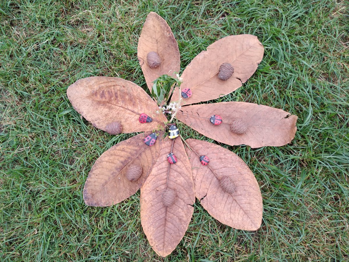 Land Art For Kids tweet media