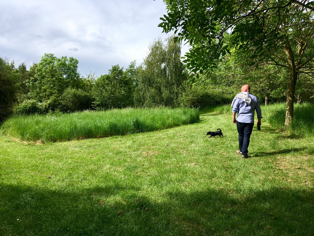 Mitchambelle's tweet photo. Since we got the dog, appreciating how lovely some motorway services actually are! #m40services #welcomebreak #greenspace https://t.co/VYNtxNRlJu