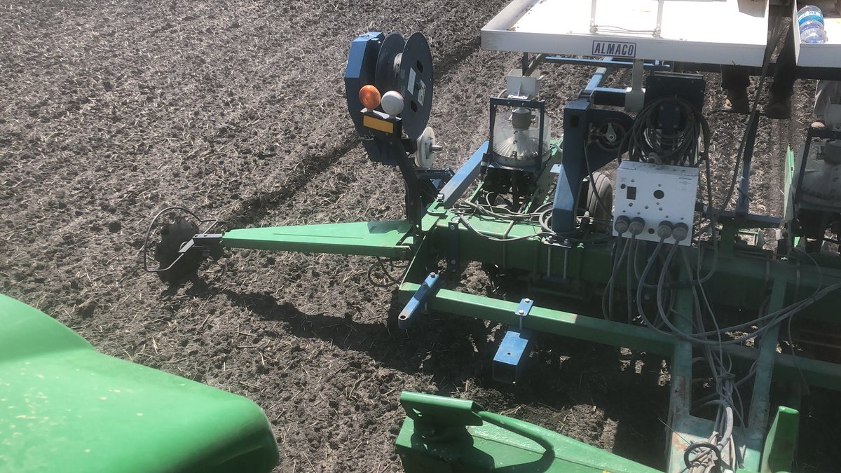 Brushvale Seed tweet media