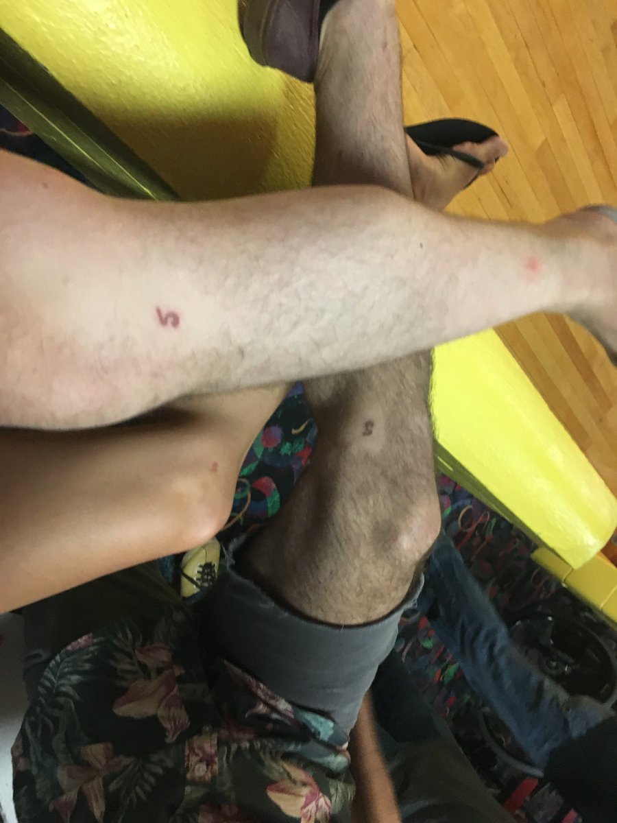 VentchatBoston's tweet photo. Closers of open bars
Jumpers of Ds
Nightmares of food tours
Masters of shame-brunch
Connoisseurs of finger sandwiches
Members of 5-knee club

👏Only 111 days to go👏

Will there be any new 5-knees this year? https://t.co/dWtiqL9wOO