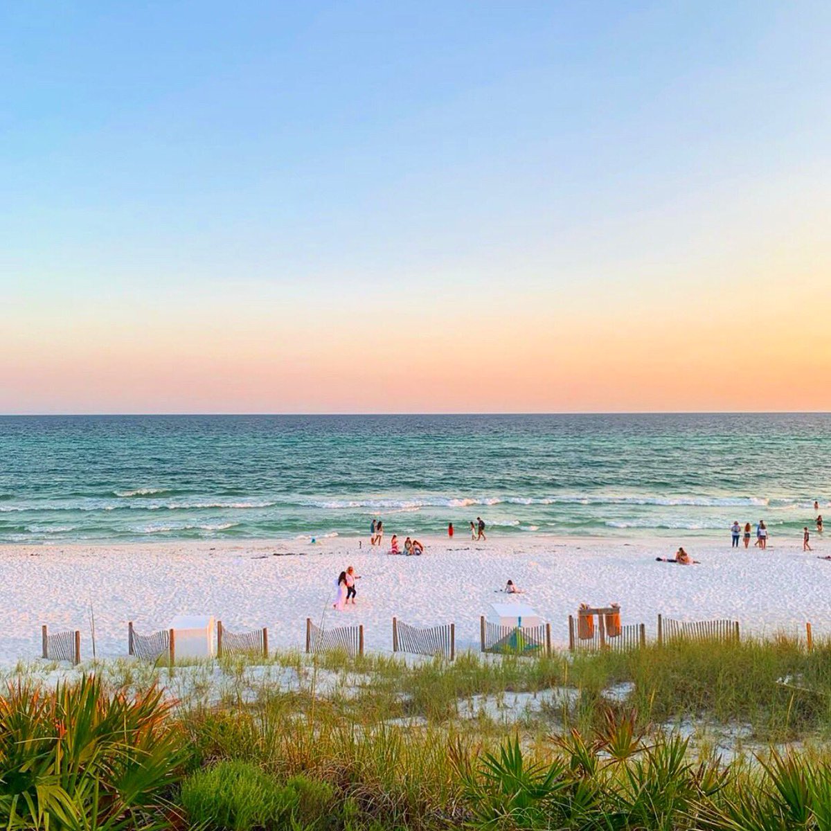 Taco Bar tweet media