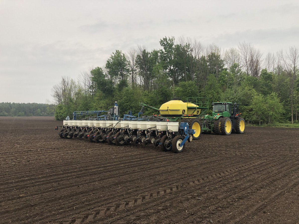 Drizzled out in the north today..... #plant19 #ontag ☔️ 🌽