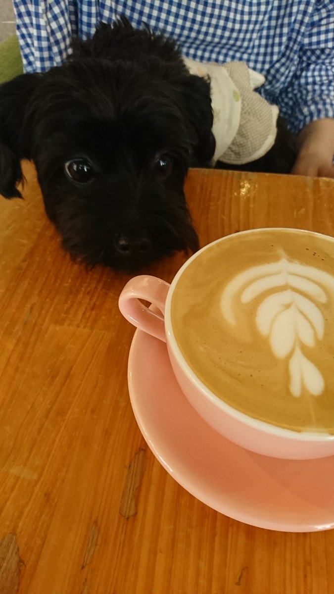 AGEs_less's tweet photo. 辛抱する
頑張る
無理をする

似てるけど違う。
無理をしちゃダメ。

#言葉 https://t.co/baajGywe6n