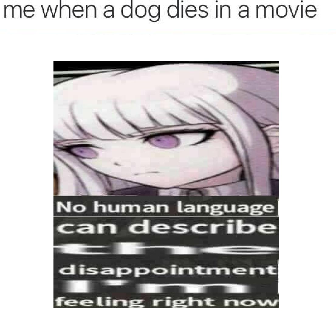 ShitpostBot5000's tweet image. 